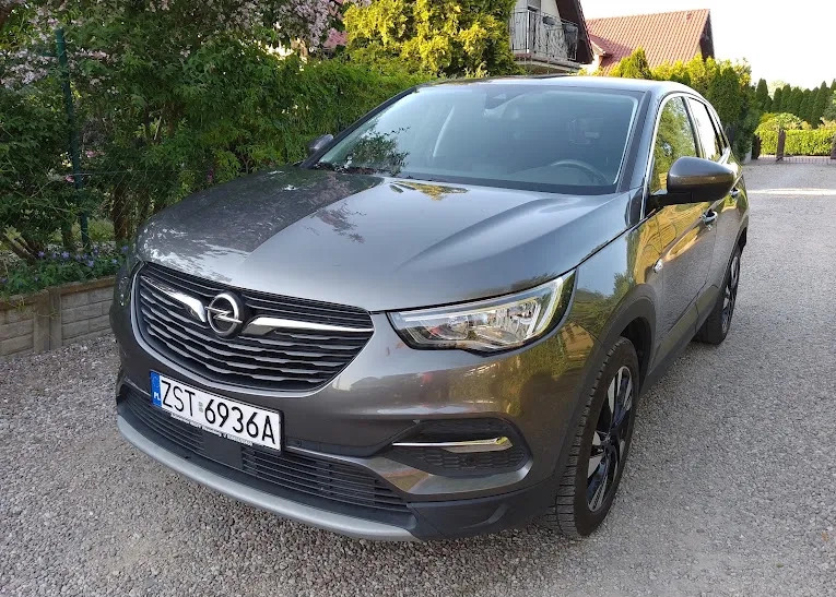 Opel Grandland X cena 57900 przebieg: 197000, rok produkcji 2018 z Kałuszyn małe 742